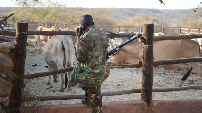 A Kenyan police officer talks on his mobile phone as he looks at cattle after he and his colleagues were deployed to guard Sosian ranch following the killing of Tristan Voorspuy a British co–owner of the Sosian ranch in the drought-stricken Laikipia region, Kenya, March 6, 2017. REUTERS/Stringer. FOR EDITORIAL USE ONLY. NO RESALES. NO ARCHIVES.
