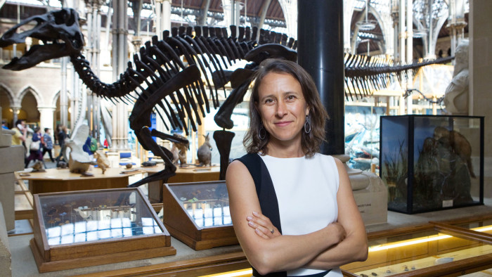 Evolution of healthcare: 23andMe's Anne Wojcicki photographed at Oxford university's Museum of Natural History