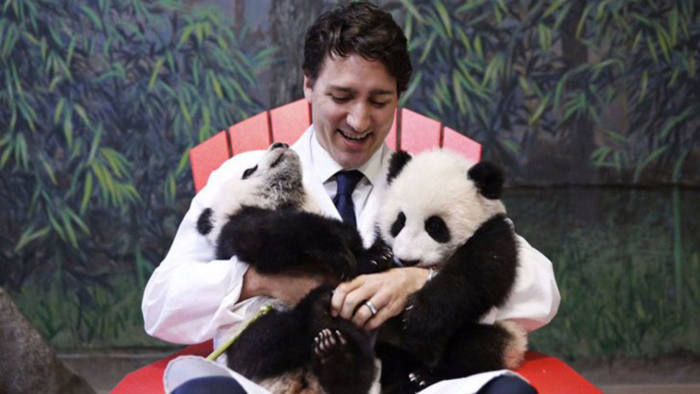 Canada’s prime minister Justin Trudeau with twin cubs Jia Panpan and Jia Yueyue at Toronto Zoo, March 2017