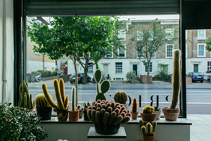 The cactus shop Prick, London
