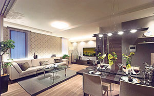  apartment in Geneva