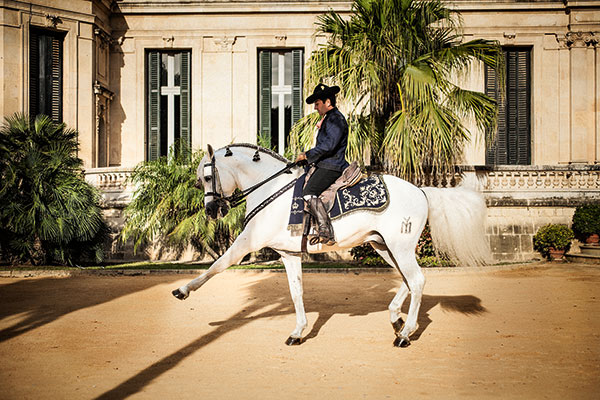 Fernando Ariza, horseman and one of the master of Real Escuela Andaluza de Arte Ecuestre, trains in front of the Palace.