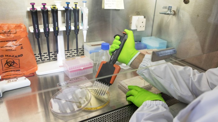 A technician uses a multichannel pipette to transfer samples of bacteria into a tray of test tubes at a Bugworks Research India Ltd. laboratory in Bengaluru, India, on Thursday, May 31, 2018. The rapid spread of resistant bacteria has made India the epicenter of a war to prevent a post-antibiotic world, where people would once again die in their thousands of commonplace infections. Faced with this, the Indian government has begun to act, providing early research funding to startups like Bugworks and providing advice and support. Photographer: Samyukta Lakshmi/Bloomberg