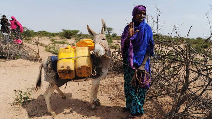 CARRO-YAAMBO, SOMALIA - JUNE 21: A Somali woman gestures after filling water cans tied to a donkey at a traditional cistern for harvesting rainwater, called a berkad, made by the Irish charity Concern-Worldwide as the Horn of Africa faces severe drought in Carro-Yaambo, a village 20 miles west of the capital Hargeisa, Somalia, on June 21, 2017. The United Nations and NGOs have sought to raise resilience in pastoralist communities that have seen their lifeblood herds of camels, goats and sheep decimated by up to 80 percent, leaving 6.7 million people in need of assistance to avoid famine in Somalia and Somaliland. (Photo by Scott Peterson/Getty Images)