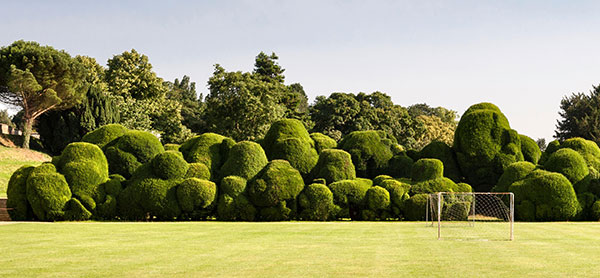 The 400-year-old Elephant Hedge at Rockingham Castle, Corby