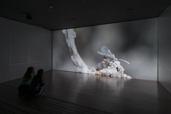 Installation view of 'Liminal' by Maya Watanabe at La Casa Encendida, Madrid in 2019. Produced by the Han Nefkens Foundation