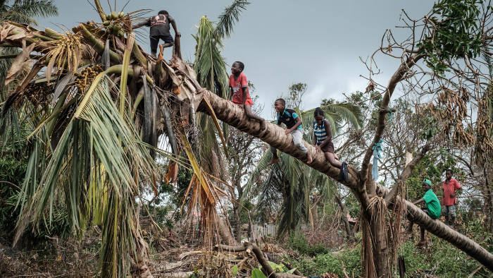 TOPSHOT - Children climb on a coconut tree damaged by the winds of cyclone Idai in Beira, Mozambique, on March 27, 2019. - Five cases of cholera have been confirmed in Mozambique following the cyclone that ravaged the country killing at least 468 people, a government health official said on March 27, 2019. Cyclone Idai smashed into Mozambique on March 15, unleashing hurricane-force winds and heavy rains that flooded much of the centre of the poor southern African country and then battered eastern Zimbabwe and Malawi. (Photo by Yasuyoshi CHIBA / AFP) (Photo credit should read YASUYOSHI CHIBA/AFP via Getty Images)