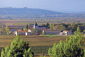 Vineyard estate, Hérault, Languedoc-Roussillon