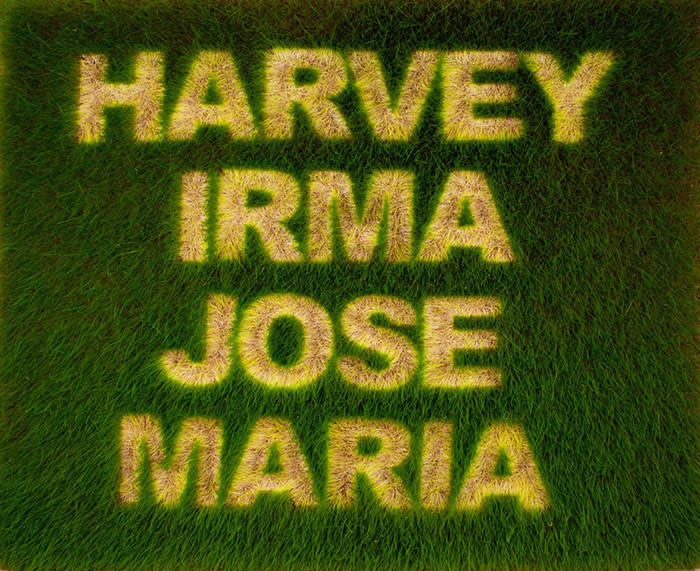 Ackroyd & Harvey’s ‘Harvey Irma Jose Maria’ (2017)