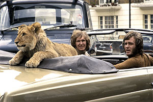 Christian, a lion cub purchased from Harrods in 1969