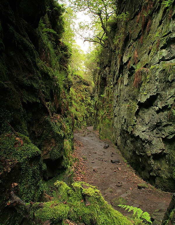 Ludchurch, a chasm in the north Staffordshire Peak district