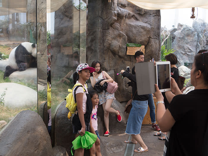 Visitors to the Giant Panda Adventure at Ocean Park, Hong Kong