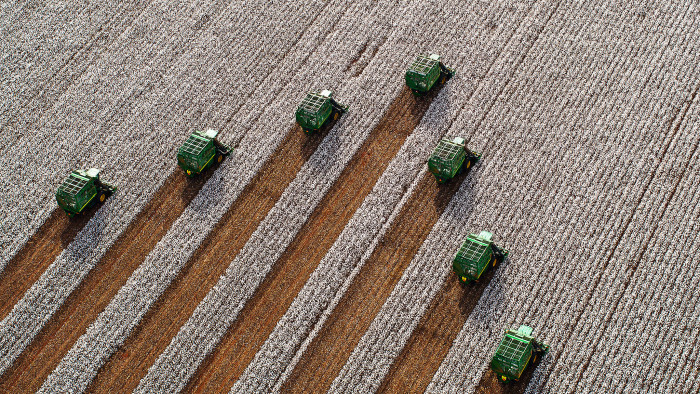 Aerial view of seven combines harvesting cotton