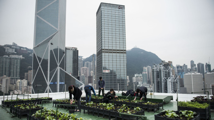 Rooftop Repubic's urban gardens in Hong Kong, China.