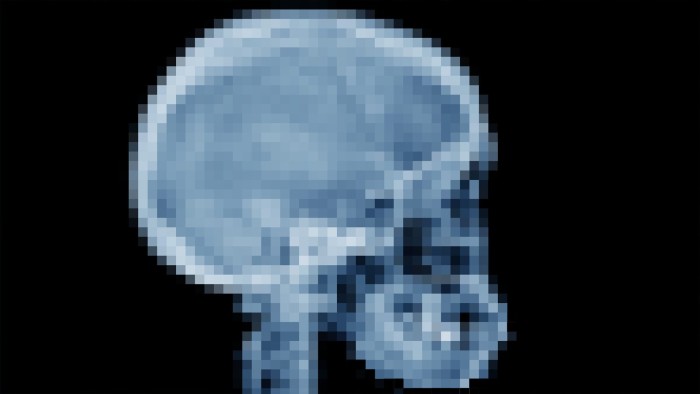 Pixellated skull