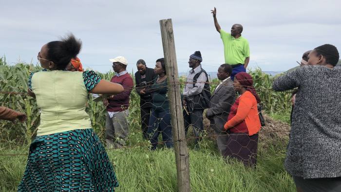 They’re all taken in Mhlakulo, a village near Mthatha in the Eastern Cape. Maybe a caption could be: Mentors from Grain SA, a farming organisation, show local farmers in etc etc how to increase maize yields, part of efforts at land reform in South Africa. PIC BY WRITER JOSEPH COTTERILL