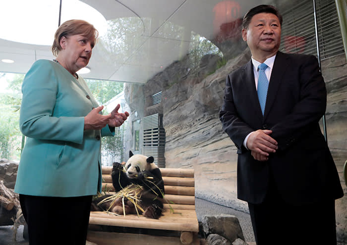 Angela Merkel with Xi Jinping welcoming Meng Meng and Jiao Qing to Berlin’s Tierpark zoo, July 2017