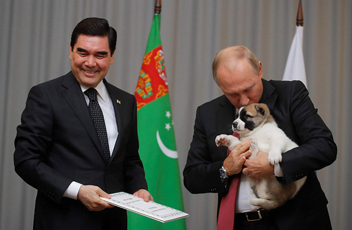 Turkmenistan's President Gurbanguly Berdimuhamedov (L) presents a Turkmen shepherd dog, locally known as Alabai, to his Russian counterpart Vladimir Putin during a meeting in Sochi, on October 11, 2017. / AFP PHOTO / POOL / MAXIM SHEMETOVMAXIM SHEMETOV/AFP/Getty Images