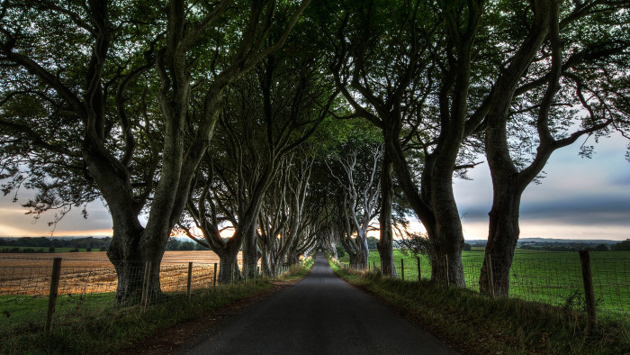 The Dark Hedges in Northern Ireland featured in TV drama 'Game of Thrones'