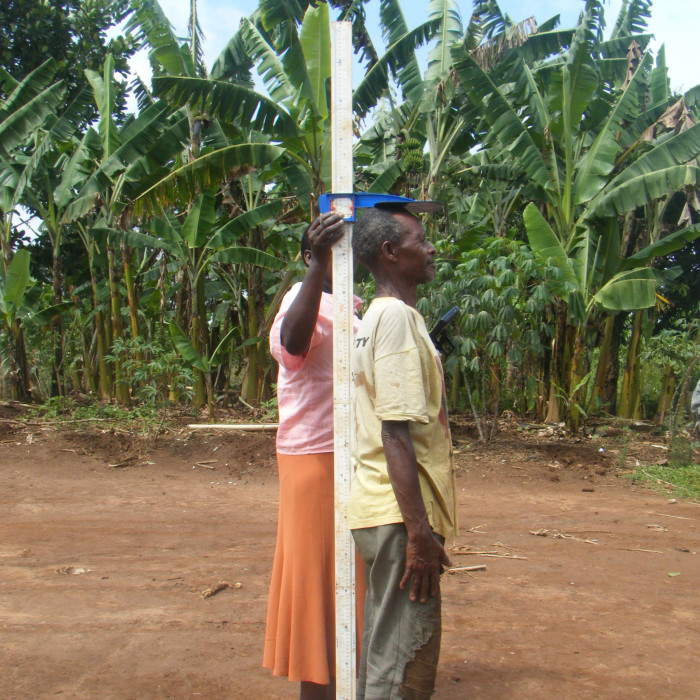 A researcher measures the height of a Ugandan citizen taking part of a survey in genetics.