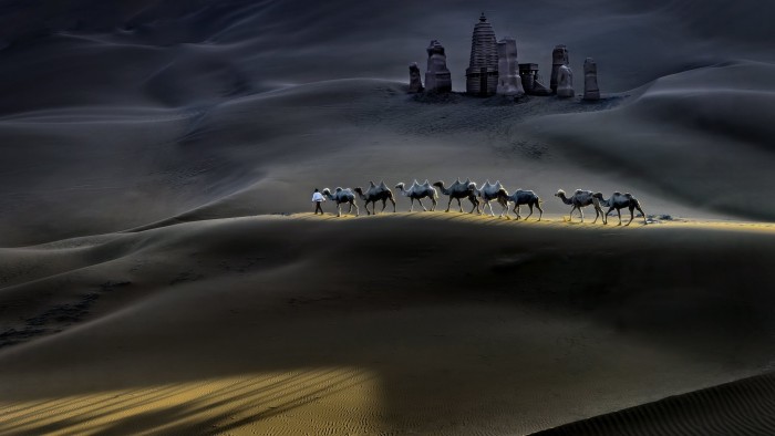 Mandatory Credit: Photo by Hua Zhu/Solent News/REX/Shutterstock (8881131a)
The camels being led through the desert
Camels in the Taklamakan Desert, Xinjiang Uyghur, China - Jun 2017
A shepherd leds his herd of camels across a vast desert, casting long shadows as they pass an ancient sand castle on their long journey home. The ornate castle, surrounded by towers, stands around 38ft high and is the only landmark among endless sand dunes in the Taklamakan Desert, which is almost as large as Germany. Dr Hua Zhu, a medical school professor, of Plainsboro, New Jersey, USA, went to northwest China's Xinjiang Uyghur autonomous region to seek out the eerie scene. The 60-year-old spotted the shepherd and his herd of Bactrian camel and was struck by the beautiful sight. He said: &quot;One day I saw a photo of the castle in the desert and thought it was very interesting.
&quot;I wanted to know where it was and asked a good friend and driver in Xinjiang, who has over 20 years driving and guiding experience in the area and even he didn't know where it was. &quot;After a few days searching, he found the location and we visited this extraordinary place.