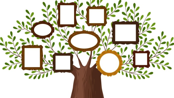 KDPBGT Genealogical family tree with picture frames. Pedigree, genealogy, lineage, dynasty concept. Vector illustration