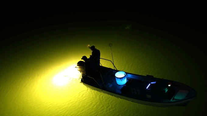 A fishermen uses lamps to search for young eels on the Yoshino River in Tokushima, Japan, on Saturday, March 12, 2016. Young eels are approximately 2 inches (5 centimeters) in length. Those caught during fishing season are sold at a price of between 100 yen and 300 yen to farming facilities. Photographer: Buddhika Weerasinghe/Bloomberg.