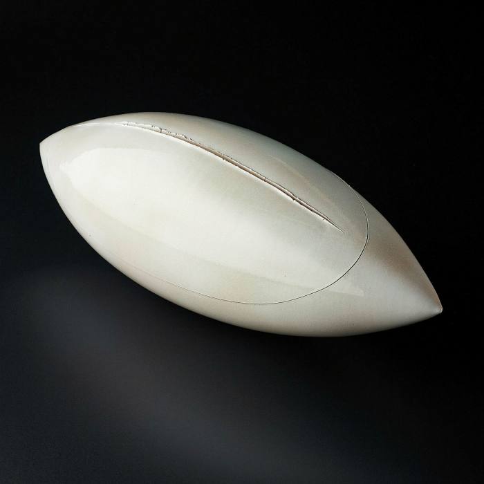 A rugby-ball shaped white object