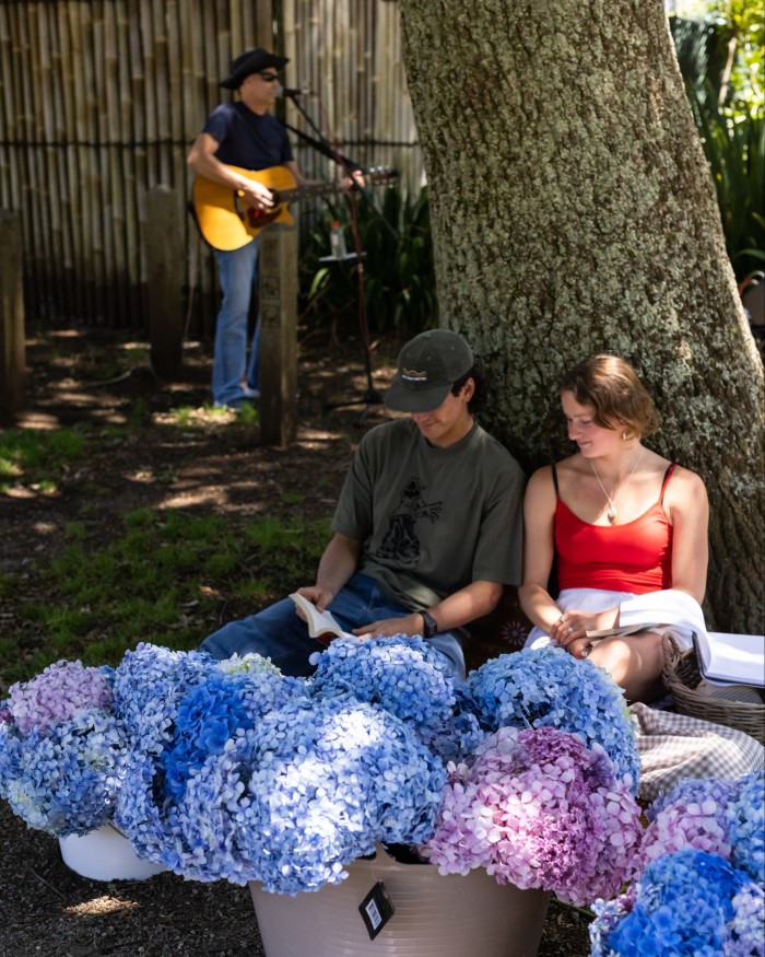 A man and woman in Sassafras leaning back against a tree, with a bucket of blue and pink hydrangeas in front of them, and a singer with a guitar performing behind them