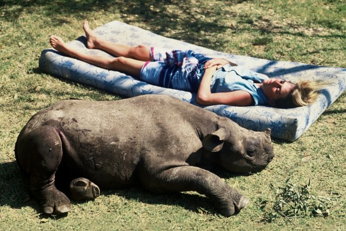 Ginger Mauney with an orphaned rhino calf