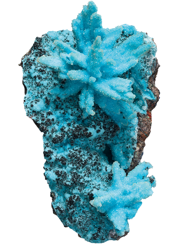 African druzy chrysocolla, $90,000, from Crystal Classics