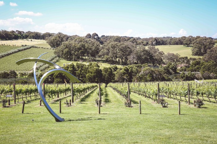 A thin, angular metal sculpture in front of rows vines going down a hill at Montalto vineyard