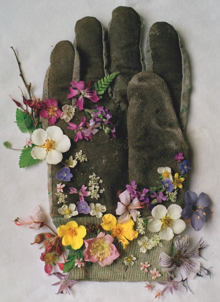 Gardening Glove, Northumberland, England, 1998, by Tim Walker