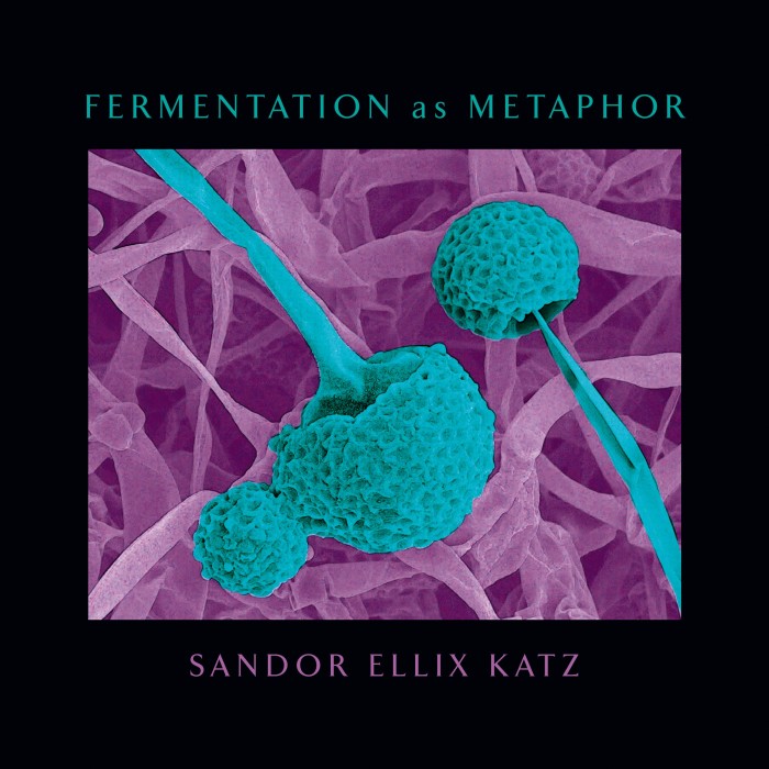 Fermentation As Metaphor, by Sandor Ellix Katz (Chelsea Green Publishing)