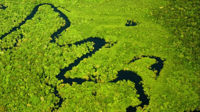 Brazil, Amazonas, tributary of Amazon River, aerial view