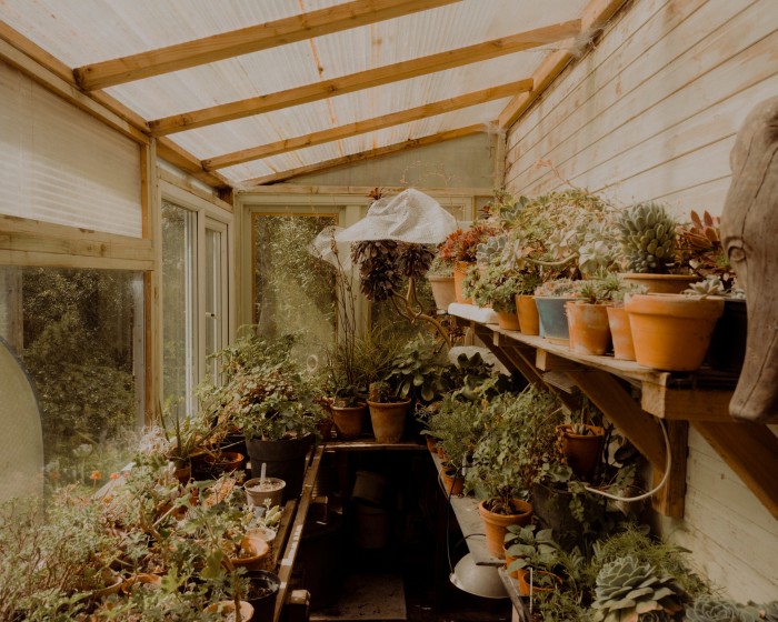 The greenhouse is filled with succulents and cuttings
