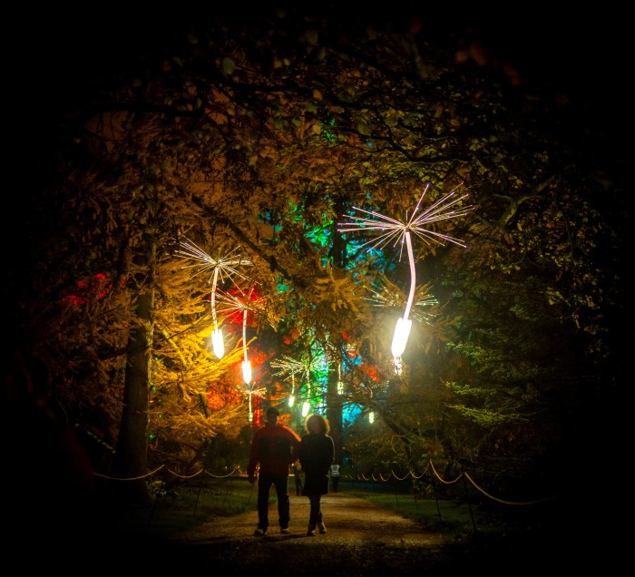 The light show at Edinburgh’s Royal Botanic Gardens