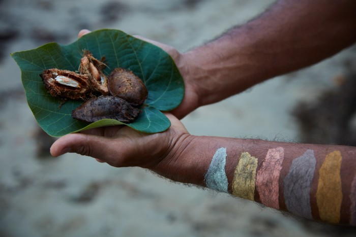 Sea almonds collected in Mossman, Queensland