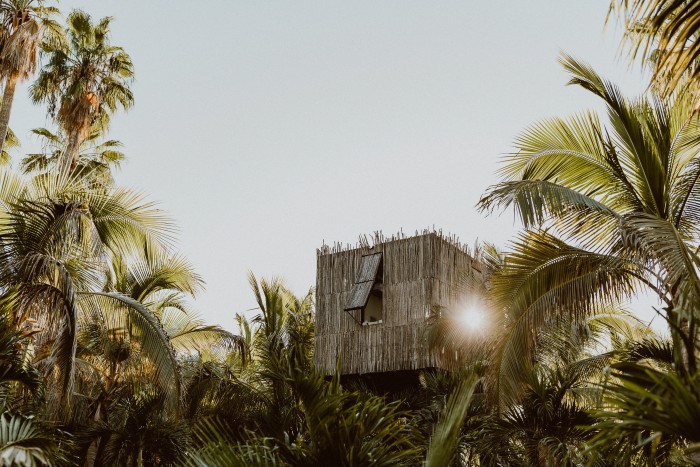 The bamboo façade of one of Acre’s 12 treehouses
