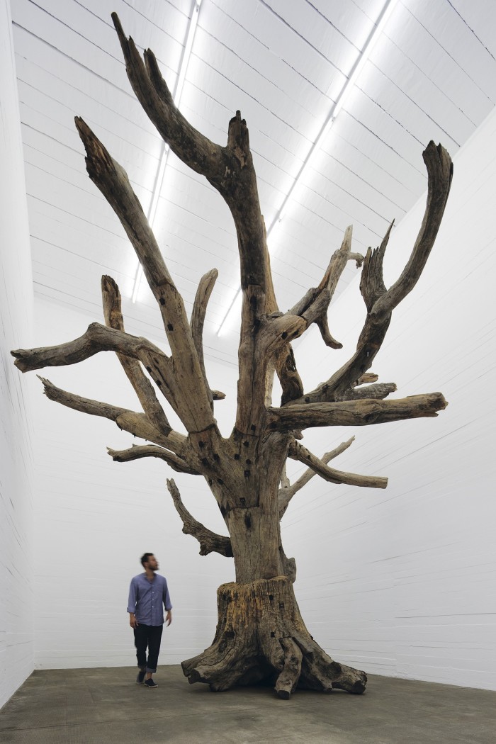 Tree by Ai Weiwei, in the Boros Collection, Berlin