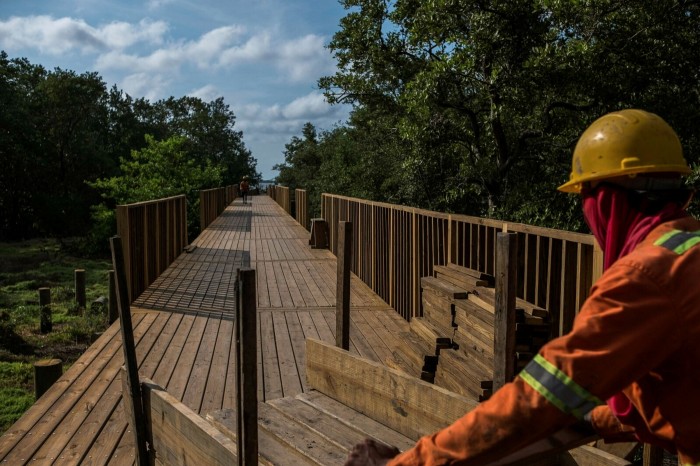 A wooden platform on Barranquila’s swamp