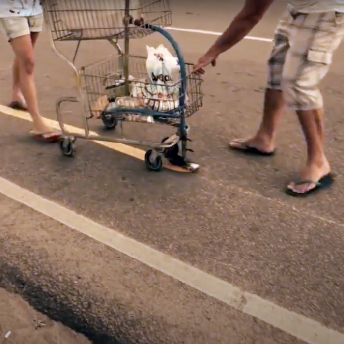 People mark out informal cycle lanes using a shopping trolley and a tin of paint in Fortaleza in 2013