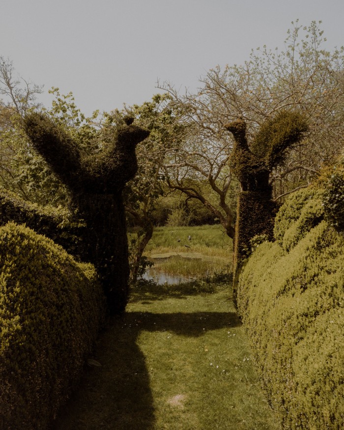 The Garden Museum recently held an evening dedicated to Molesworth’s topiary