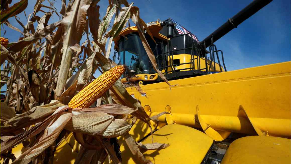 Falling corn prices heap pressure on farmers