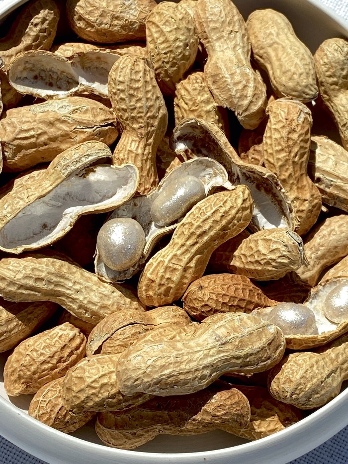 Peanut “pearls” made by food artist Imogen Kwok