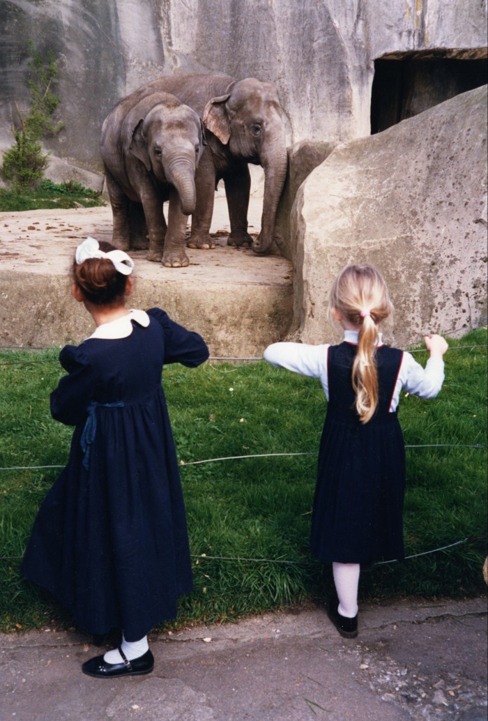 Zoo de Vincennes, Paris, 1988