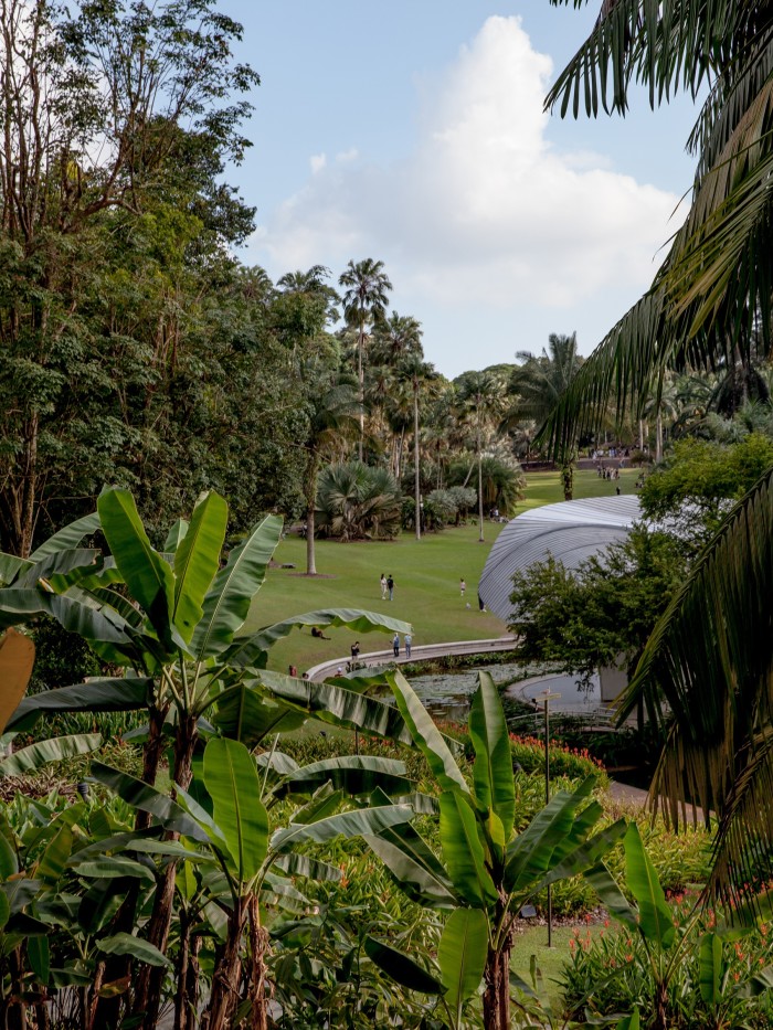 Singapore Botanic Gardens, looking towards Symphony Lake
