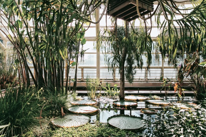 The Steinhardt Conservatory at Brooklyn Botanic Garden, New York