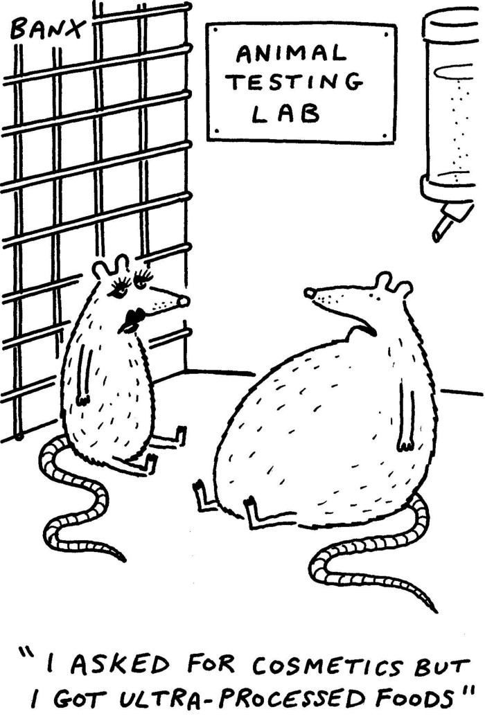 A Banx illustration showing two caged rats, one of which wearing make-up