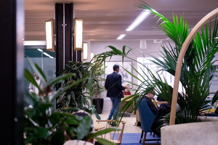 The Glasshouse also operates a plantscaping service for office and retail spaces